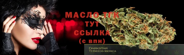 крисы Верхний Тагил