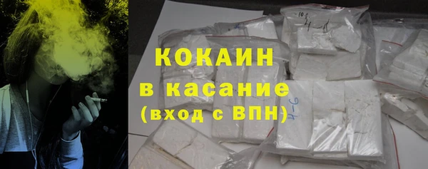 крисы Верхний Тагил