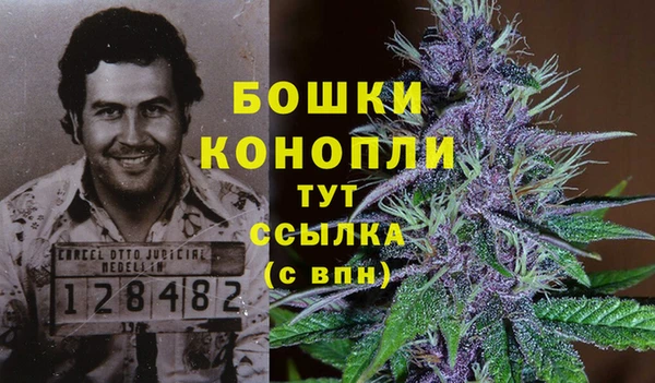 крисы Верхний Тагил