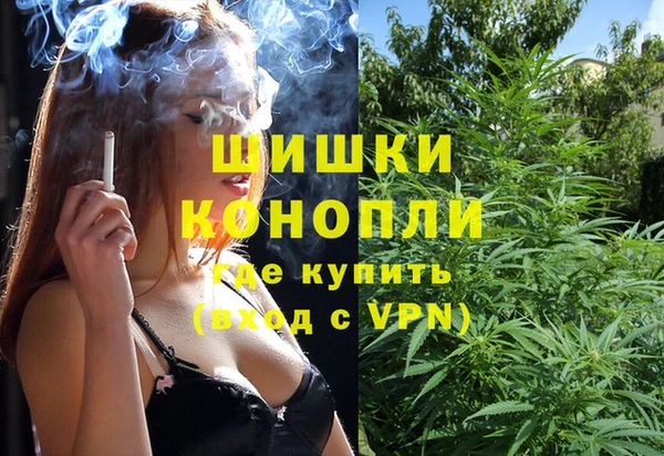 крисы Верхний Тагил