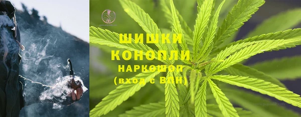 крисы Верхний Тагил